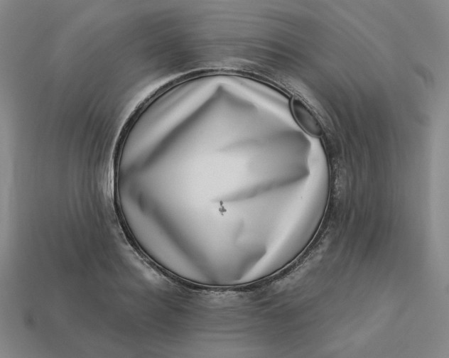 X0000113320940200910051122