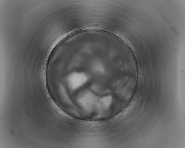 X0000113320941200910051122