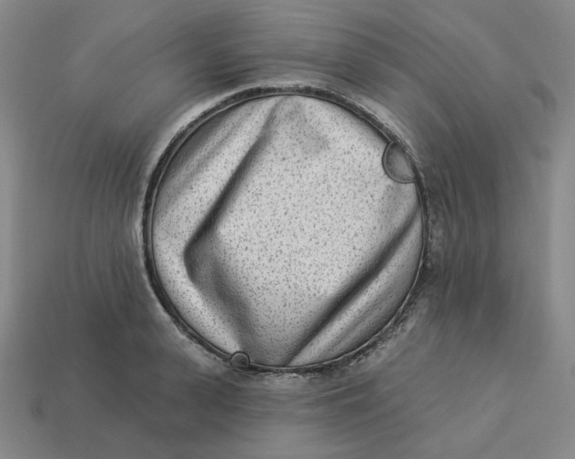 X0000113320943200910051122