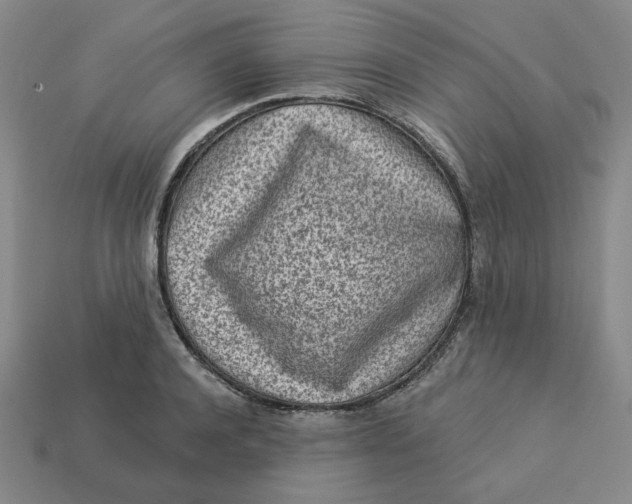 X0000113320944200910051122