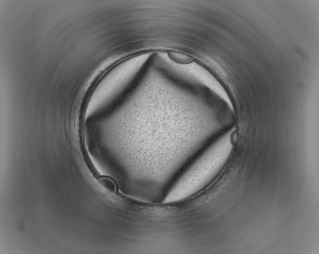 X0000113320947200910051122