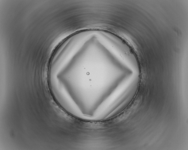 X0000113320952200910051122