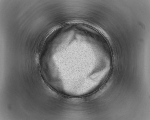 X0000113320953200910051122