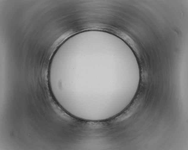 X0000113320954200910051122