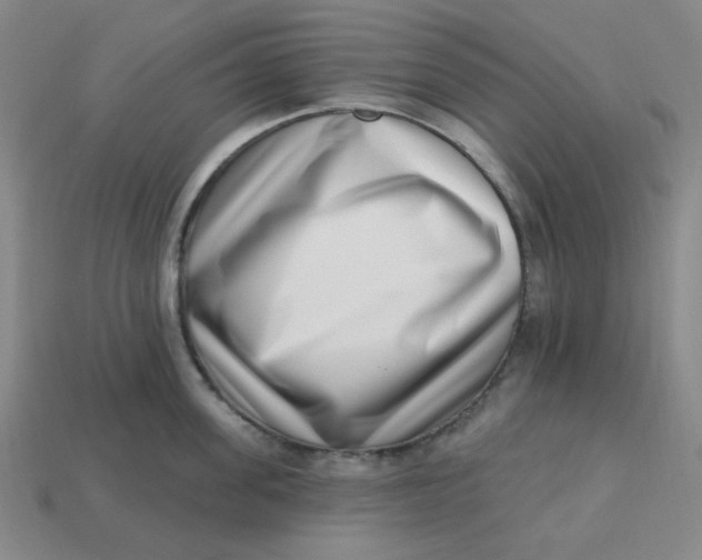 X0000113320955200910051122