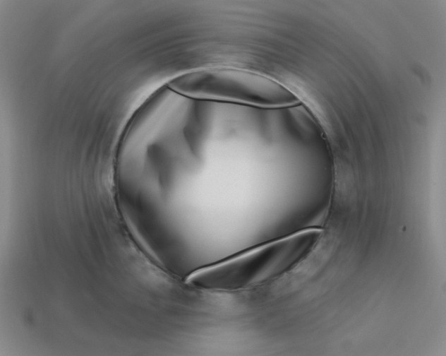 X0000113320956200910051122