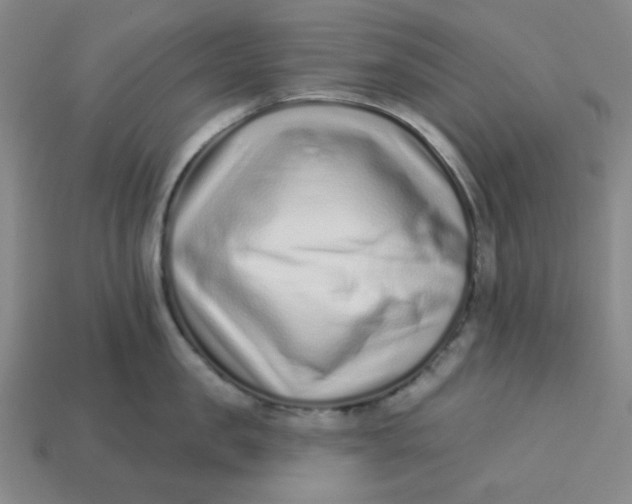 X0000113320957200910051122