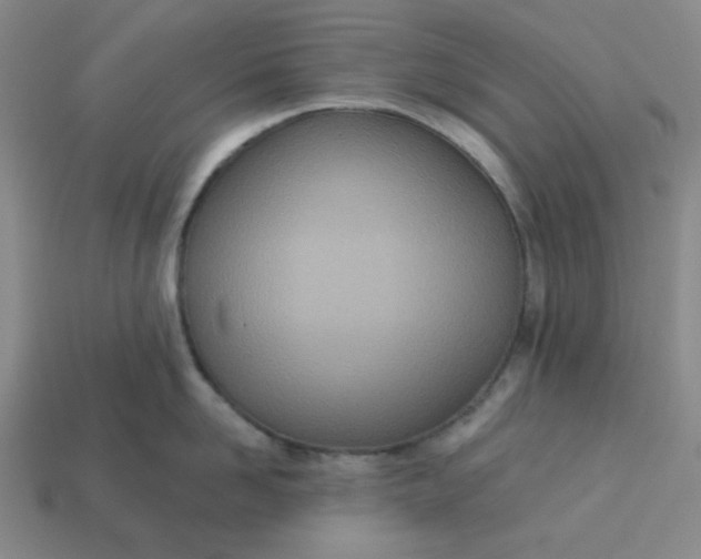 X0000113320958200910051122