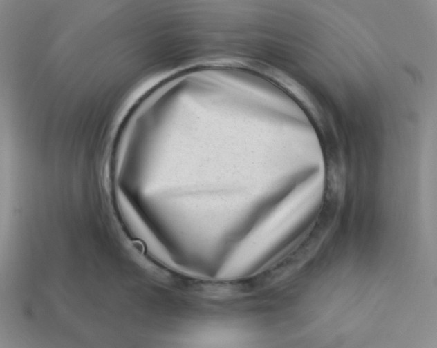 X0000113320959200910051122