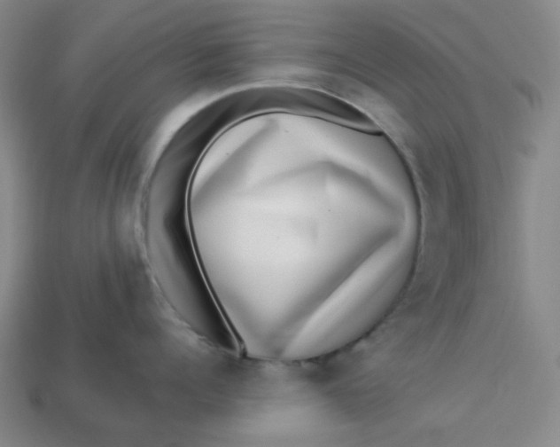 X0000113320960200910051122