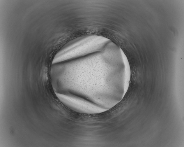 X0000113320962200910051122