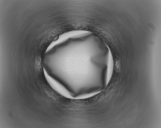 X0000113320963200910051122