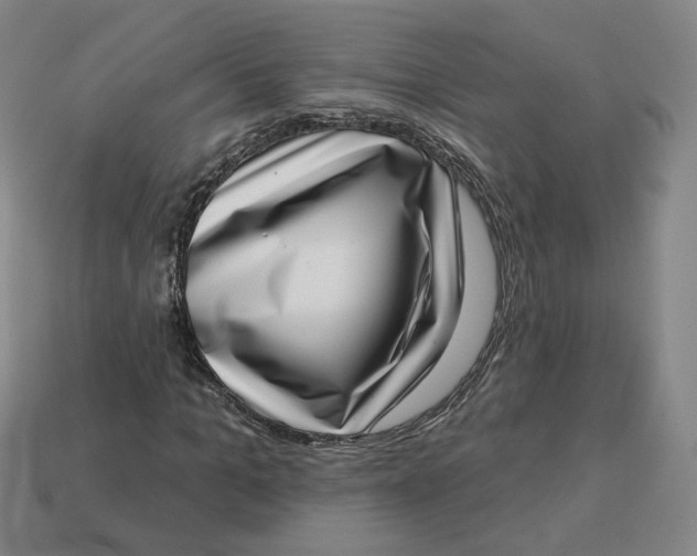 X0000113320965200910051122