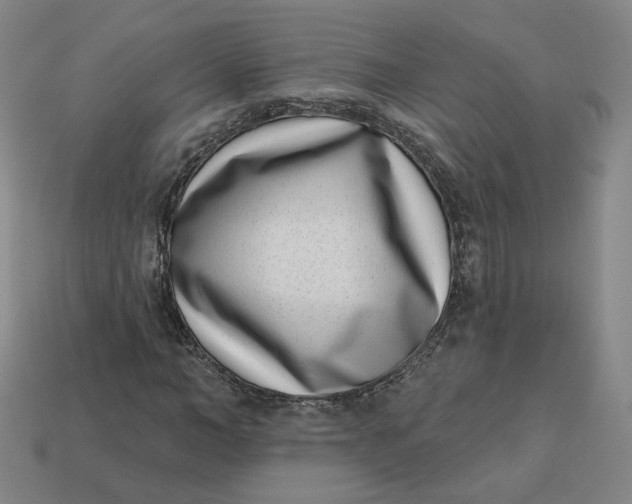 X0000113320966200910051122