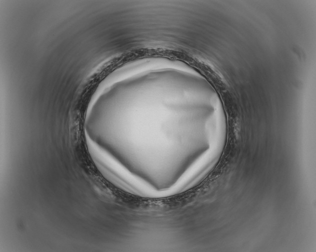 X0000113320968200910051122