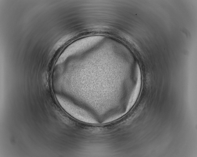 X0000113320970200910051122