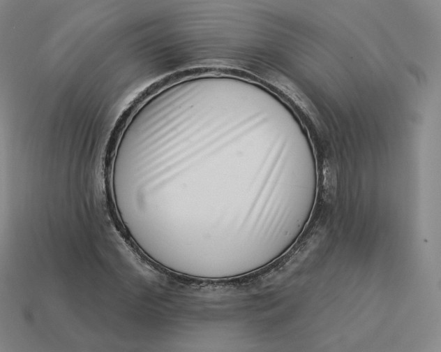 X0000113320972200910051122