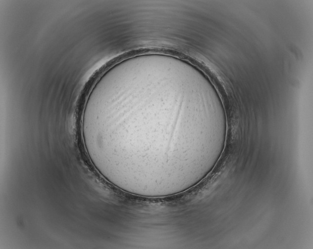 X0000113320975200910051121