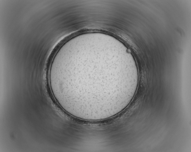 X0000113320976200910051121