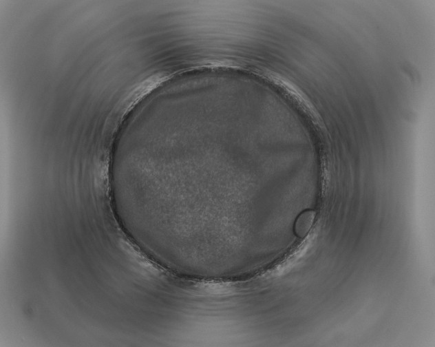 X0000113320977200910051121