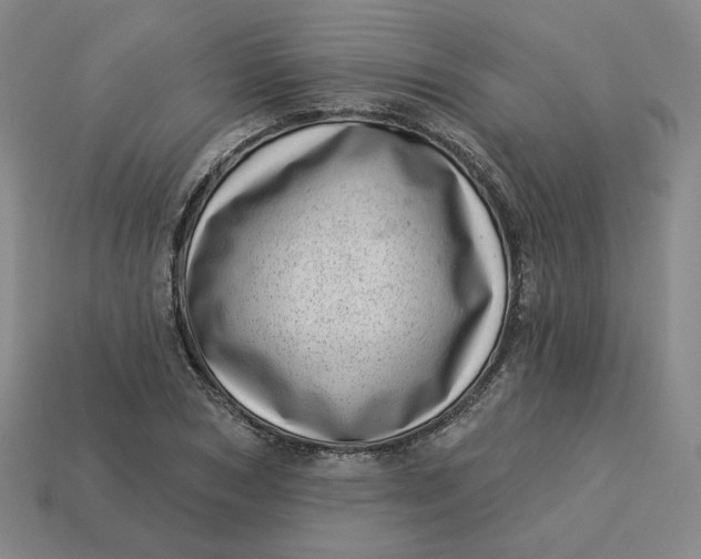 X0000113320978200910051121