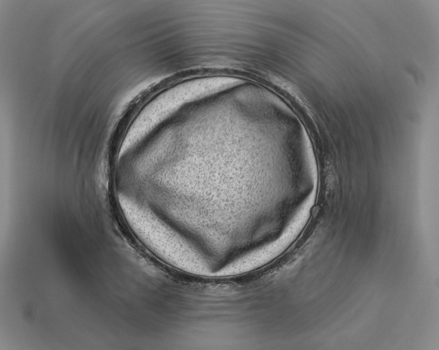 X0000113320979200910051121