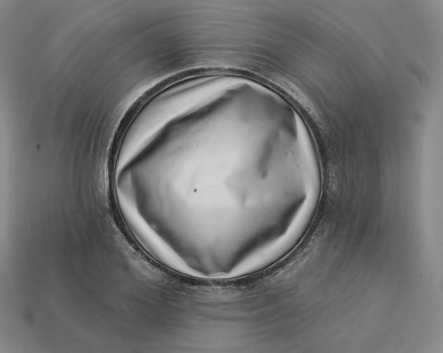 X0000113320980200910051121