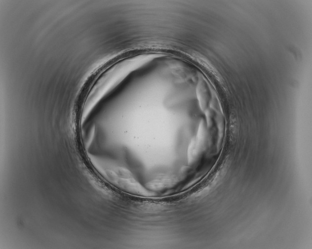 X0000113320981200910051121