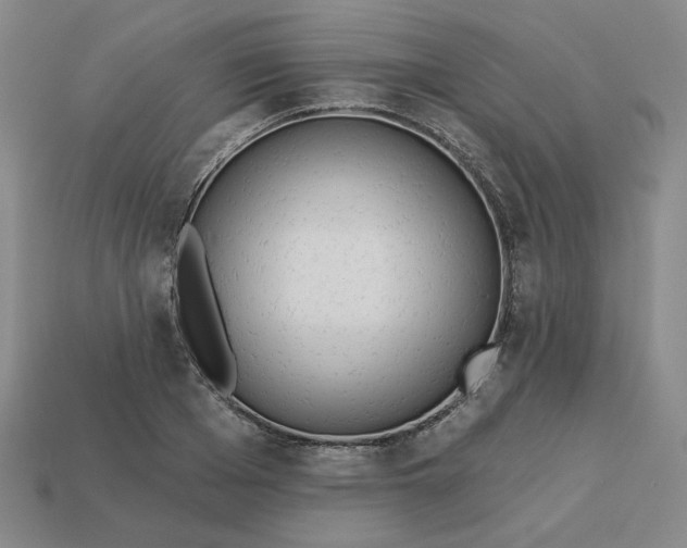 X0000113320985200910051121