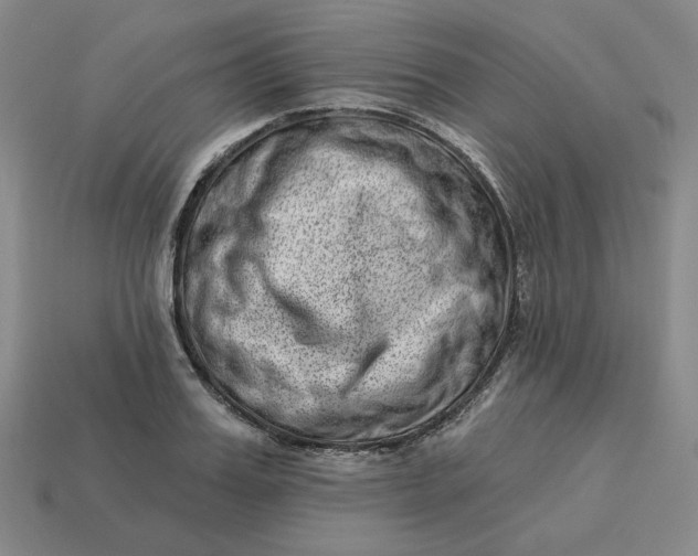 X0000113320987200910051121