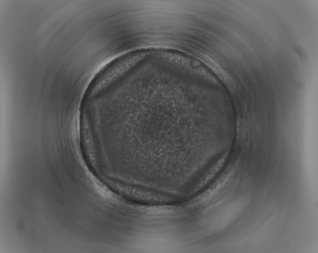 X0000113320988200910051121