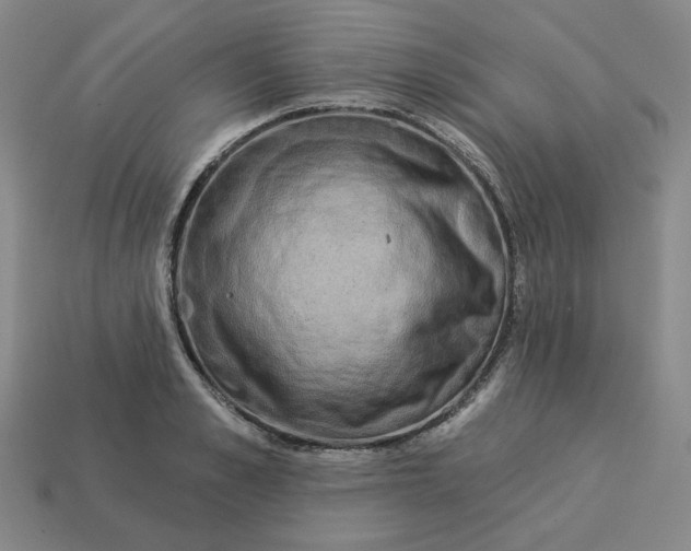 X0000113320989200910051121