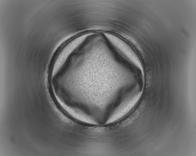 X0000113320991200910051121