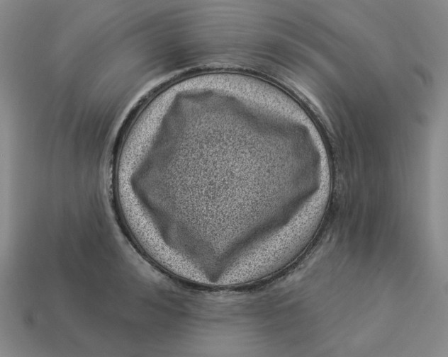 X0000113320992200910051121