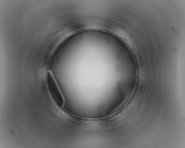 X0000113320993200910051121