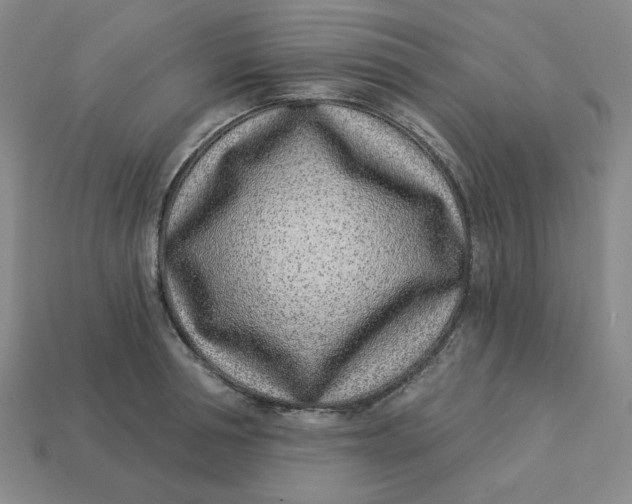 X0000113320994200910051121