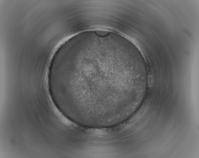 X0000113320995200910051121