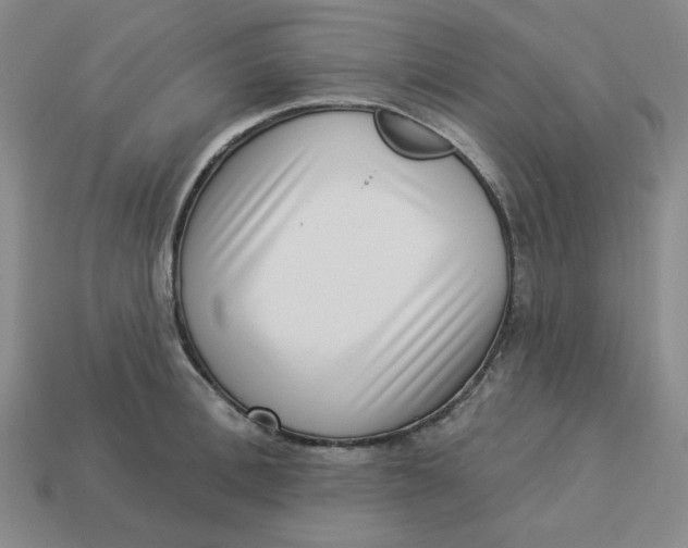 X0000113320996200910051121