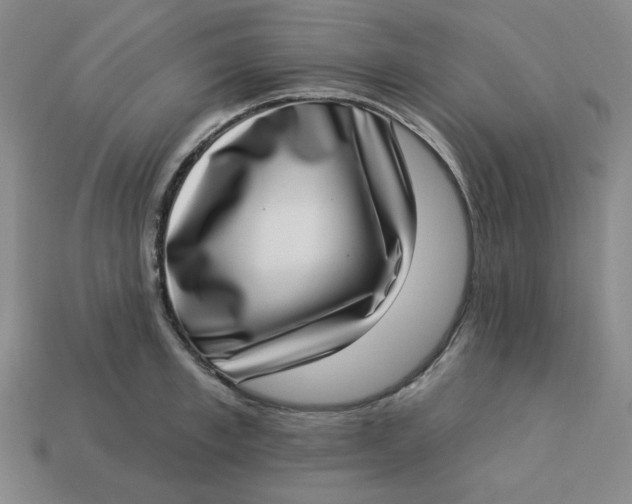 X0000113320997200910051121