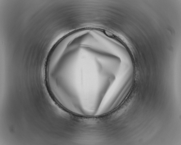 X0000113320999200910051121