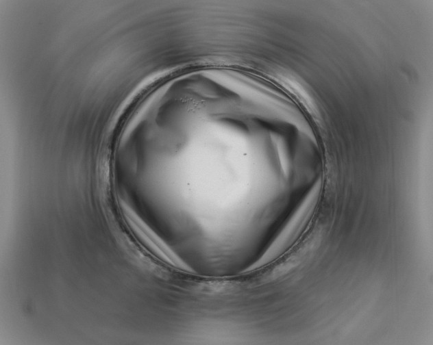 X0000113321000200910051121