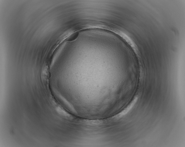 X0000113321001200910051121