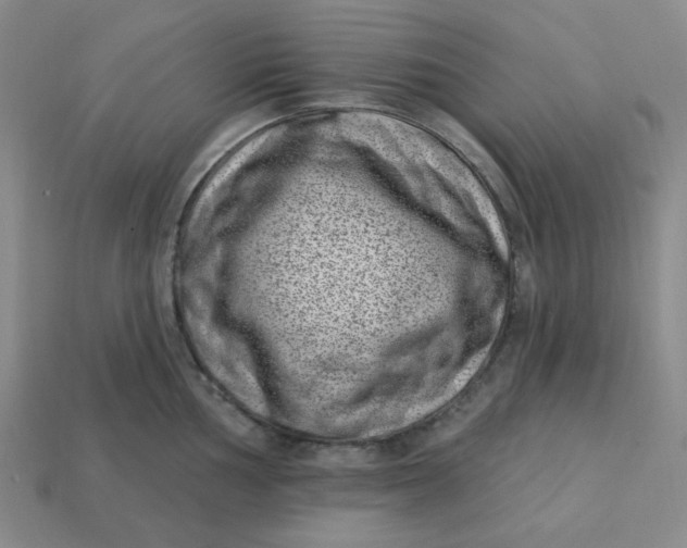 X0000113321002200910051121