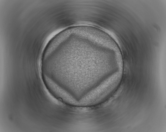 X0000113321003200910051121