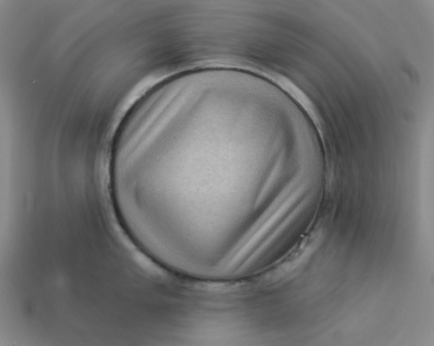 X0000113321005200910051121