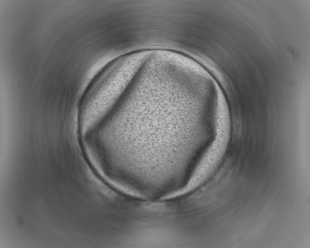 X0000113321006200910051121