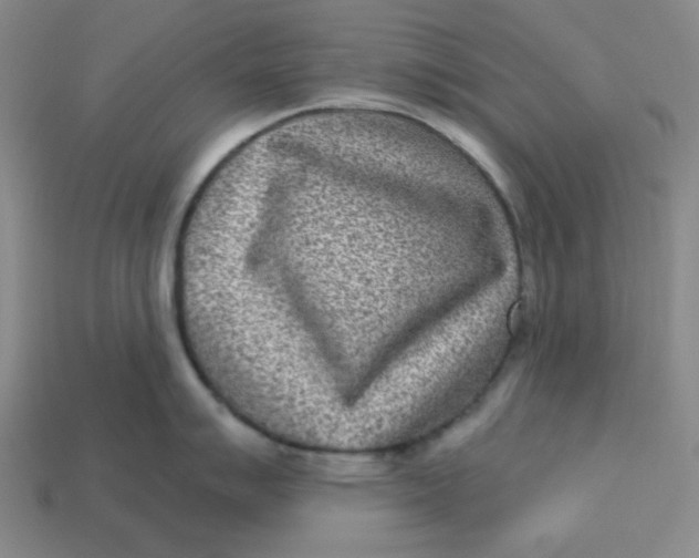 X0000113321007200910051121