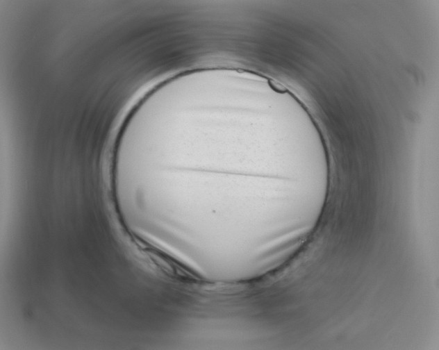 X0000113321008200910051121