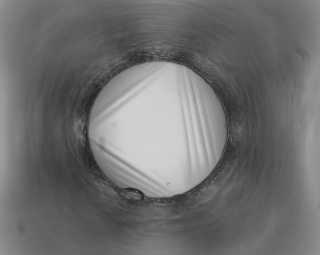 X0000113321010200910051120