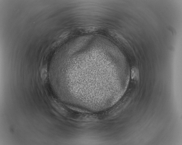 X0000113321011200910051120